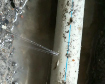安丘卫生间测漏水多少钱