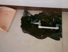 安丘卫生间测漏水多少钱